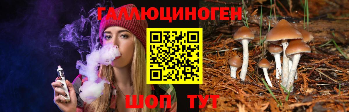 как найти   Вход с VPN  Галлюциногенные грибы Psilocybine cubensis  Вязьма  Галлюциногенные грибы ЛСД 